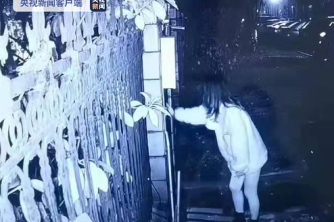 梦境中的暴力与自我救赎，解析梦见自己杀了一堆人的深层含义