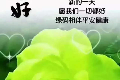 梦中微笑，过世亲人给予的温暖与启示