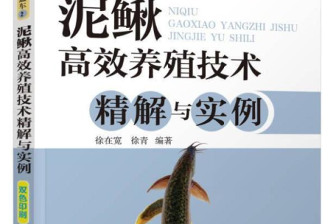 梦见捉泥鳅，探索潜意识中的财富与机遇