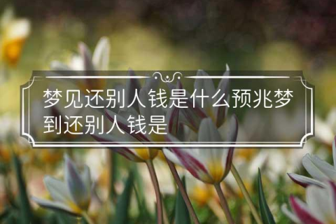梦境解析，梦到找别人要钱意味着什么？