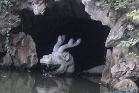 梦境解析，梦见水蛭成群，寓意与解析