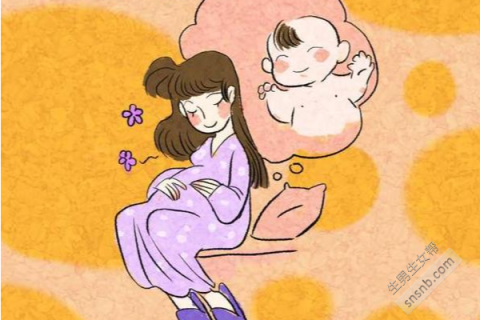 梦到动物怀孕，梦境中的神秘预兆与深层解析