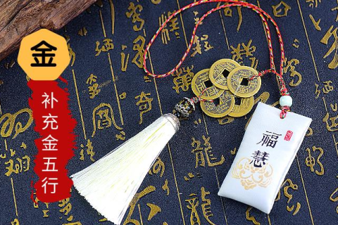 梦见甲鱼跪求解梦，探寻梦境背后的深层含义与启示