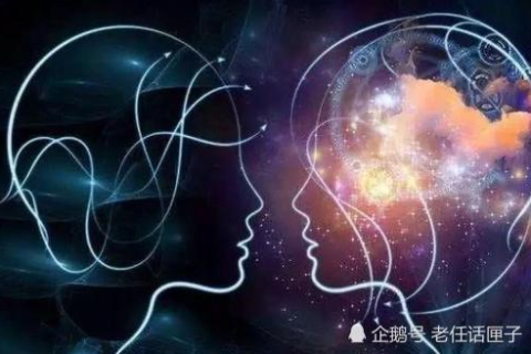 做梦梦到老鼠，潜意识中的警示与启示