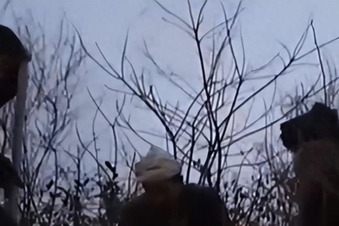 梦境背后的深意，与逝去奶奶的对话与自我棺材的启示