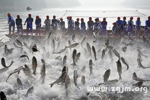 我梦见捉鱼解梦，探索梦境中的捕鱼之旅与深层含义