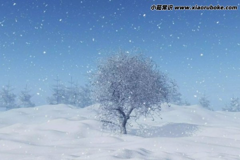 梦见夏天下着雪一样的东西，一场心灵深处的奇遇与解读