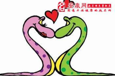 怀孕期间梦到两条蛇，寓意与解读