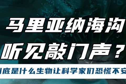梦境中的抉择，梦见有个男人要跟我结婚，探索潜意识中的渴望与恐惧