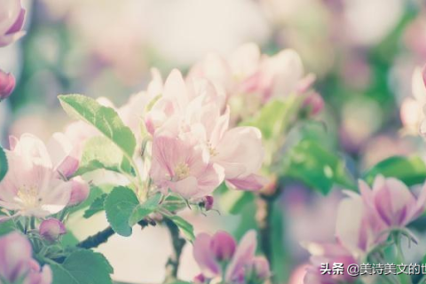 老是梦见血周公解梦帮忙解一下，血在梦中的象征意义与心理解析
