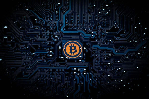 梦见别人抓到一条小蛇，潜意识中的微妙信息与现实生活的关联