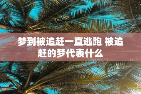 揭秘梦境追逐，睡觉做梦梦到被人追着的心理分析与解读