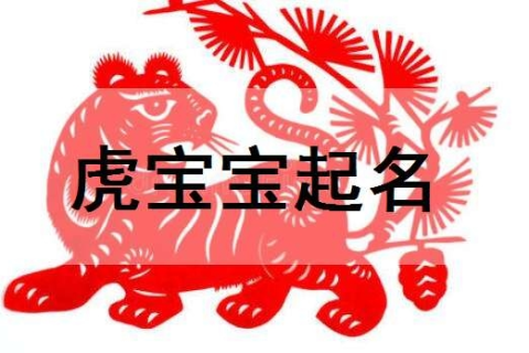 梦见两窝鸡蛋，孕育新生命与财富增长的象征