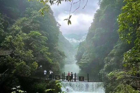 梦回往昔情深，现任与前任交织的梦境解析