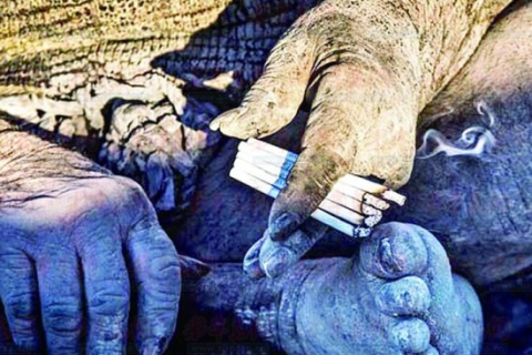 梦见自己掉进粪坑里满身粪便好艰难的爬出来，解读梦境背后的深层含义