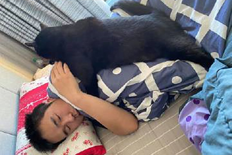 梦境解析，梦见家里突然涌现的带攻击性猫咪