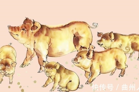 梦境中的田园交响曲，解析梦见猪、羊、牛共跑的寓意