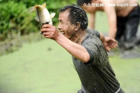 做梦梦见抓鱼有什么征兆，探索梦境中的神秘预兆与心灵启示