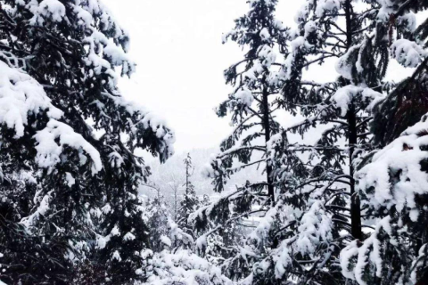 梦境中的银装素裹，探索梦到下雪了的深层含义与心理解析