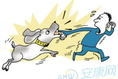 解梦，梦到被狗咬住胳膊不放，寓意何在？