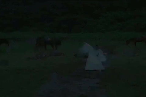 求高手解梦，梦境中的迷雾与启示