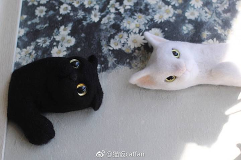梦境交织，黑猫与白猫的眼神交汇