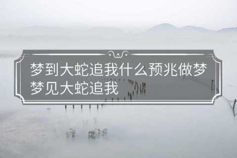 梦见大蛇追自己的孩子，梦境背后的深层含义与解析