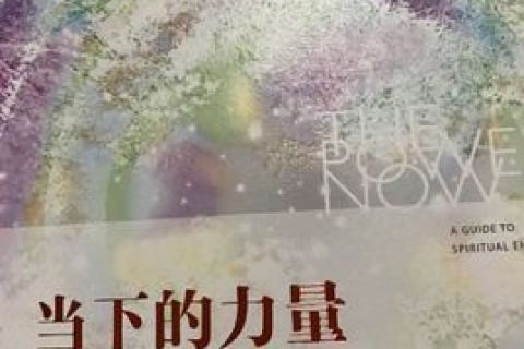 梦见去世的人复活与活着的人相聚，梦境解析与心灵启示