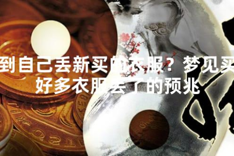 梦境中的寻觅，解析晚上做梦梦见自己买不到喜欢的衣服和鞋子