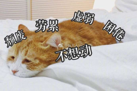 梦境解析，梦见老公抱蟒蛇，竟是潜意识中的这些信号？