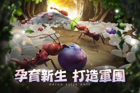 梦境解析，梦见路上好多蚂蚁，众多蚂蚁跑到身上——探索深层寓意与心理暗示
