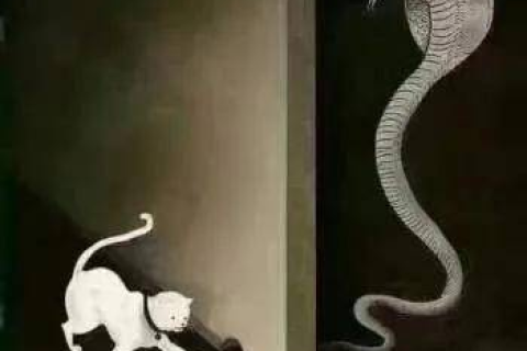 梦境解析，手执蛇袋的恐惧与释放