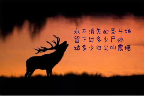 梦境与现实交织，解读你表白后她说不想谈恋爱的梦境含义