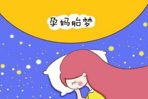 梦见花开富贵，预示新生命降临？解读梦境中的怀孕象征