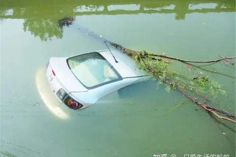 梦见自己的车掉进水里然后水退了自己就把车开上来啦，探索梦境中的象征与自我救赎