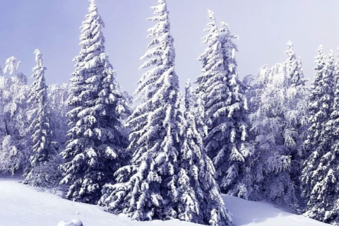 梦境中的奇异之旅，在不是下雪的天里漫步雪地
