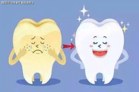 梦见牙掉啦然后吞肚子里啦，预兆与梦境解析的深层探索