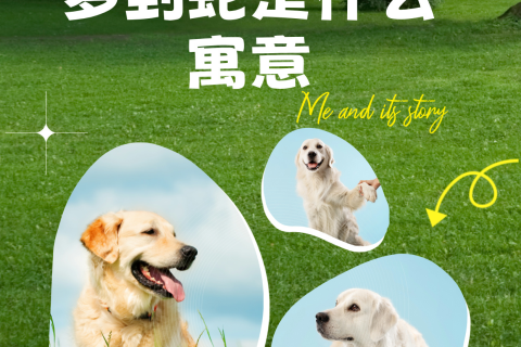 求高人详细解梦，梦见蛇狗与亲人，探寻梦境背后的深层含义