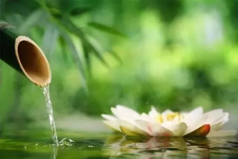 梦见热水洗菲，心灵净化的深层寓意