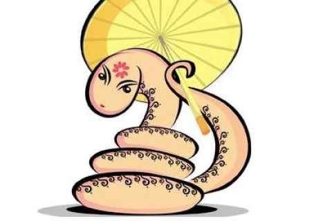昨晚做梦梦见蛇是什么意思求解梦，探索梦境中的神秘符号