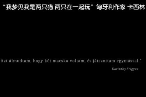 做梦梦见好友偷我的钱，梦境背后的深层含义与心理解析