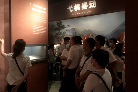 梦境奇遇，红色小鱼的飞翔之旅