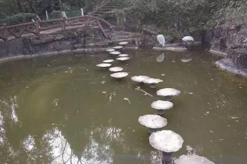 求高人解梦，梦见狗叫——探寻梦境背后的深层含义