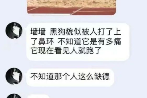 解读梦境，19岁女孩夜晚梦见蛇，究竟意味着什么？