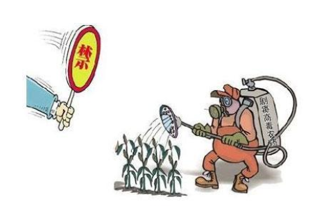 周公解梦，梦见鸡啄食蜘蛛，寓意何在？