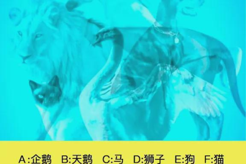 最近经常梦见裤子脏，潜意识中的信息解读与心理启示