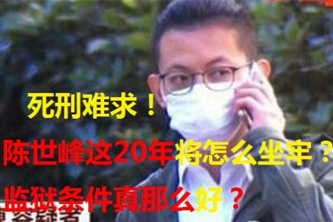 弟弟在坐牢，每晚梦境中的温暖回归，解梦与心灵慰藉之旅
