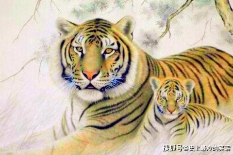梦境解析，梦到老虎在追很多人意味着什么？