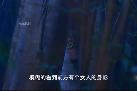女孩梦境中的蛇群，一场心灵深处的探索与启示