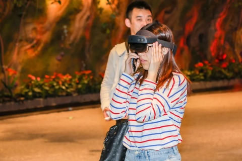 梦回千年，我遇见两条龙与一只凤的奇幻之旅